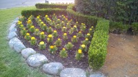 /album/plantacion/plantacion-3-mini-jpg/